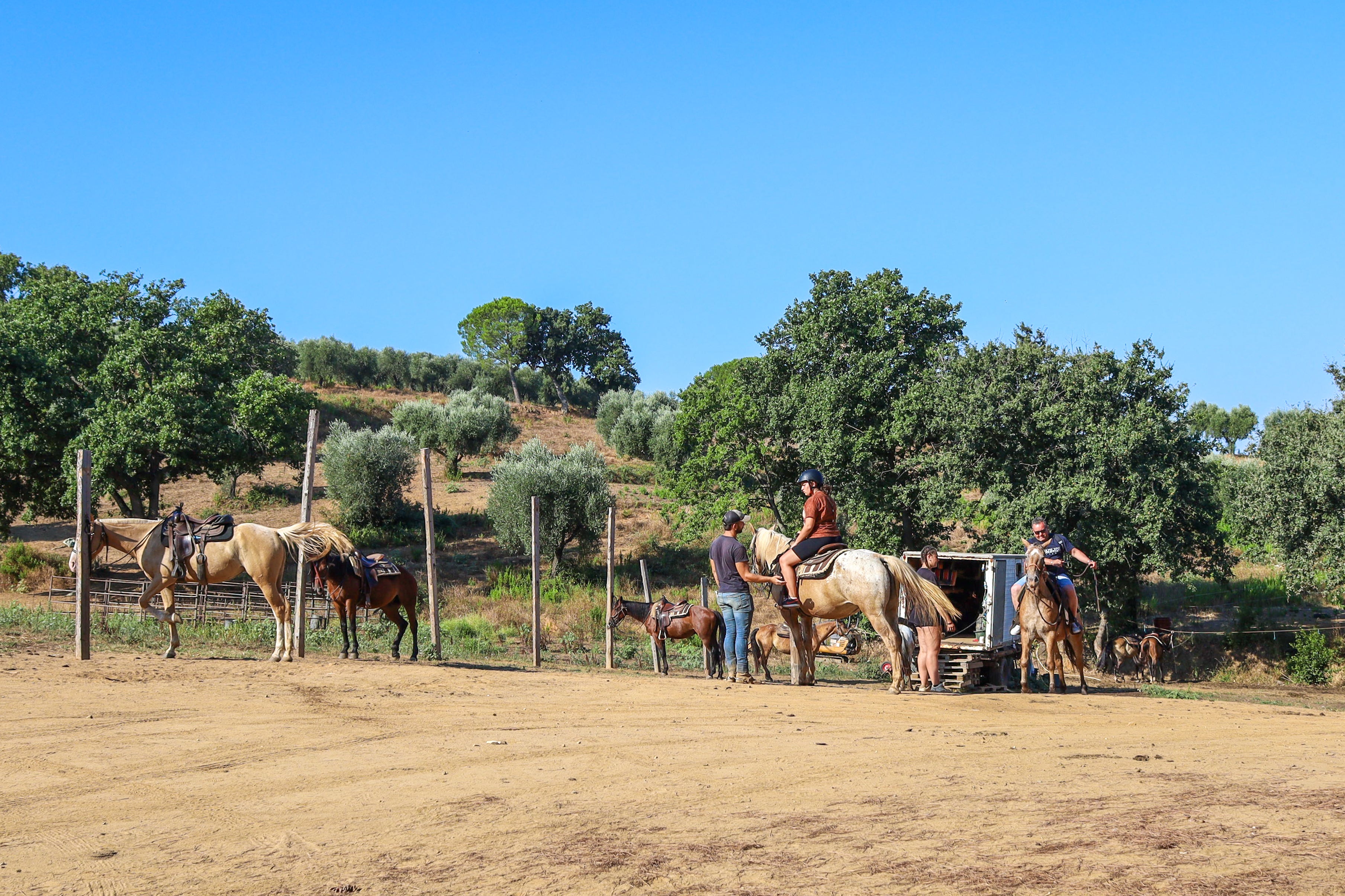 Escursioni a cavallo