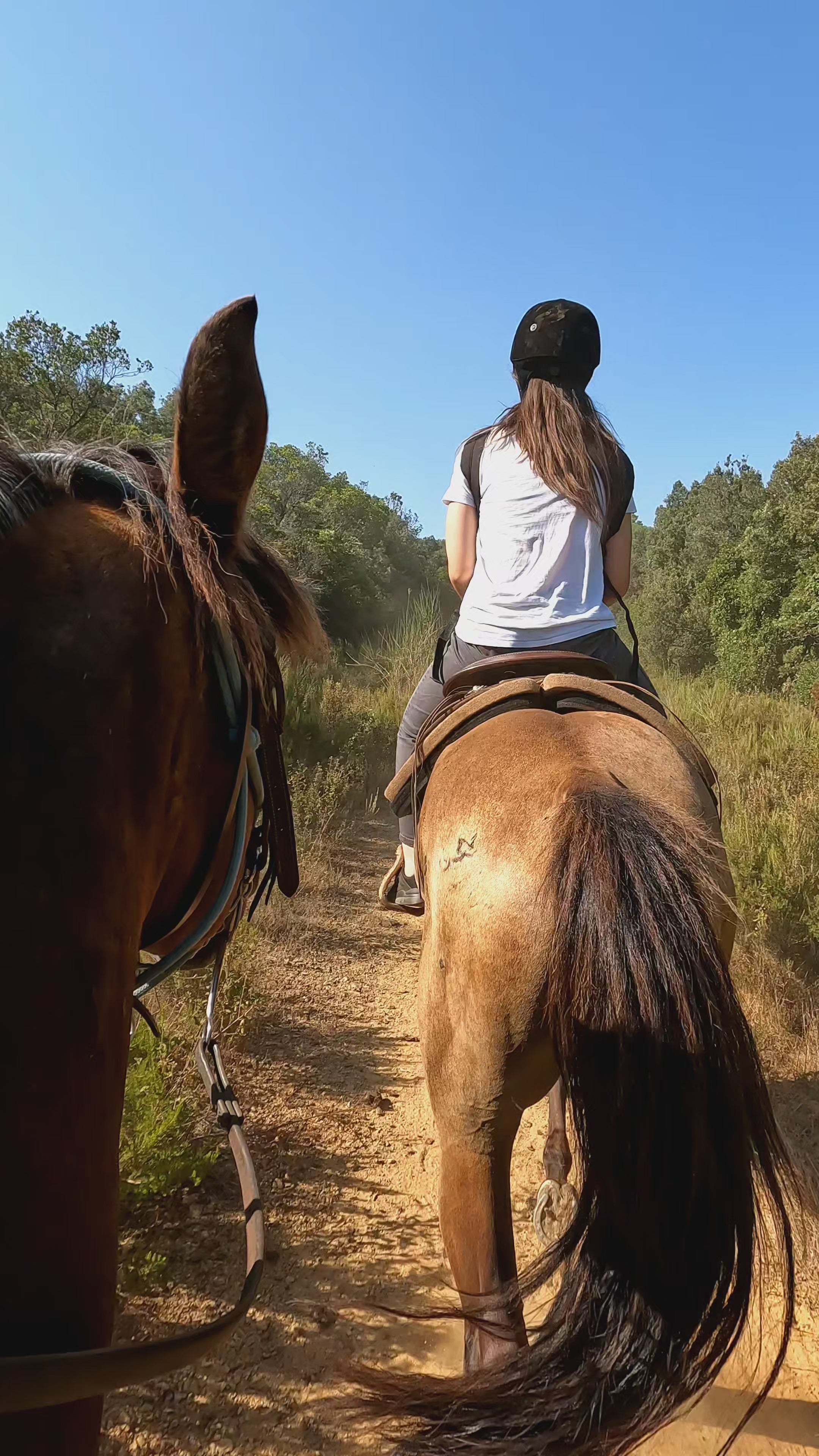 Horse riding experiences